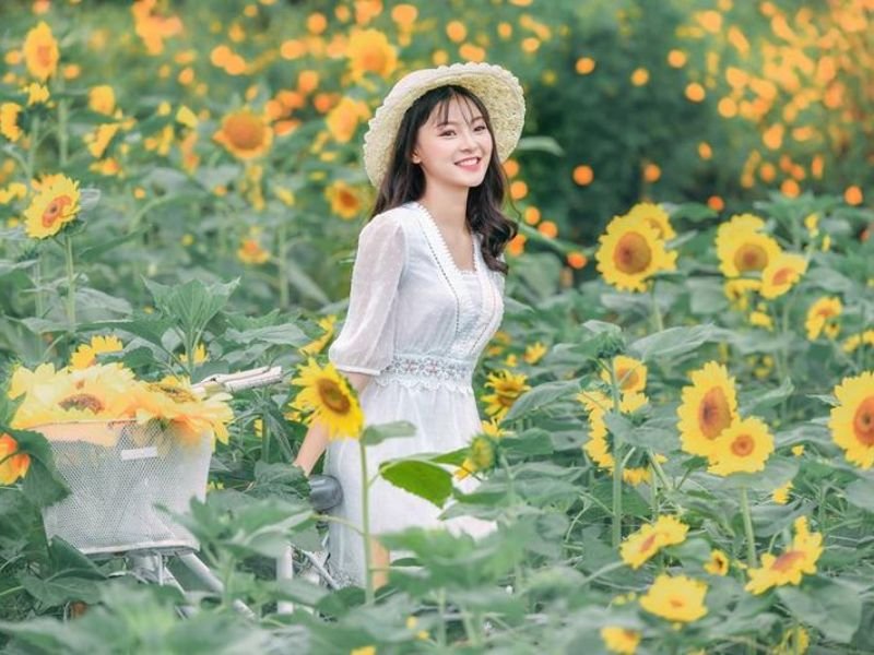 Tạo dáng chụp ảnh với phông nền là cánh đồng hoa